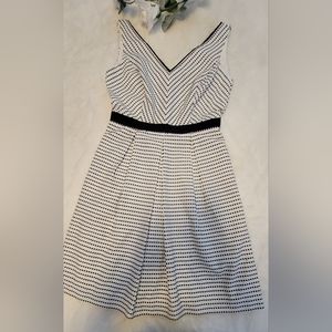 White House Black Market Sleeveless V Neck Dress Textured Dot Fit Flare s